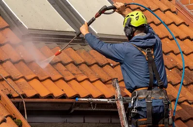 Démoussage et hydrofuge de toiture à Palinges